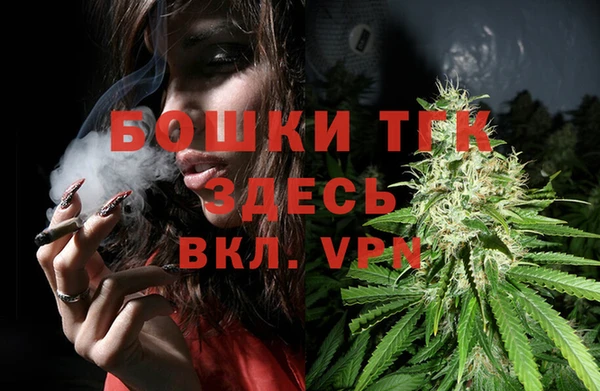 гидропоника Бородино