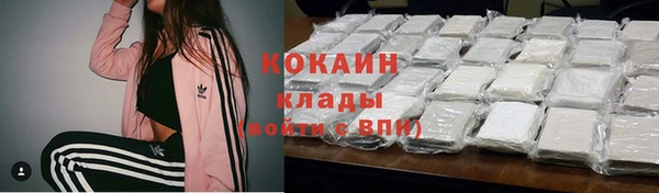 гидропоника Бородино