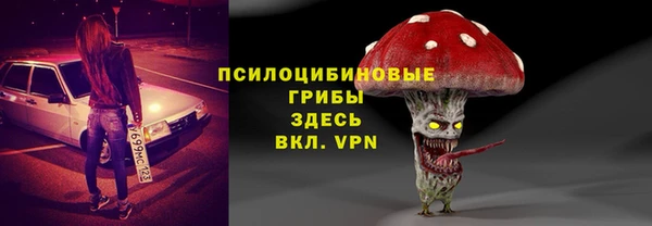 ешки Санкт-Петербург