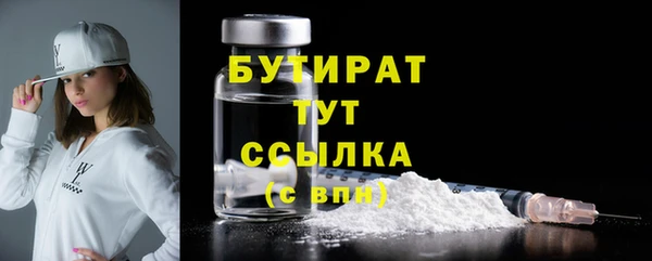 гидропоника Бородино