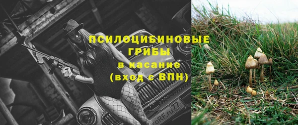 гидропоника Бородино