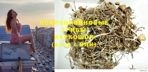 стафф Бронницы