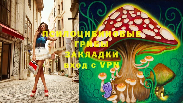 гидра Новосибирск