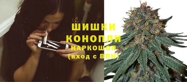 стафф Бронницы
